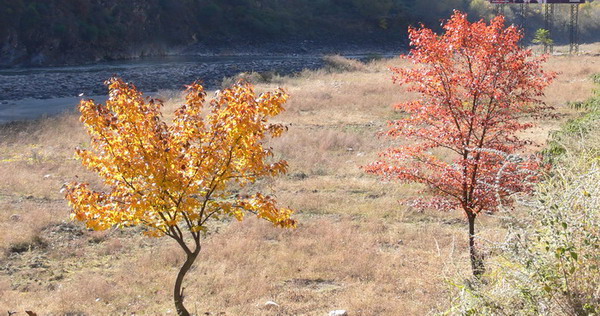 图片移库 276.jpg