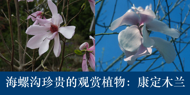 康定木兰1.jpg