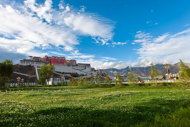 L1061142_调整大小.jpg