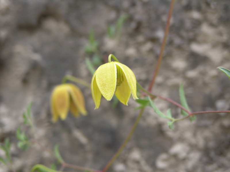 P8154771_调整大小.JPG