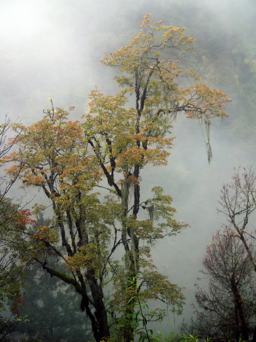 PA204525_调整大小.jpg