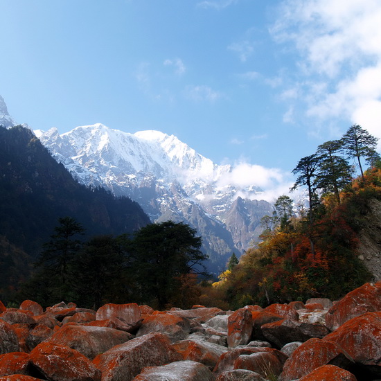 PA276105_调整大小.jpg
