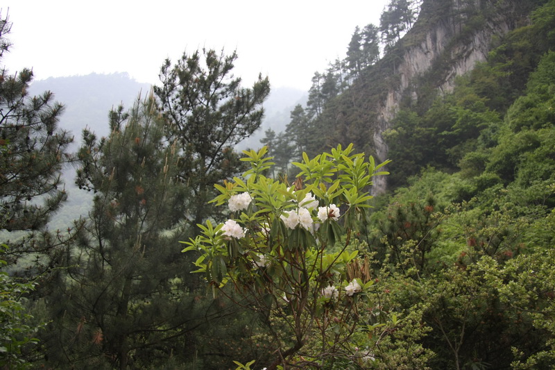 IMG_6001_调整大小.JPG