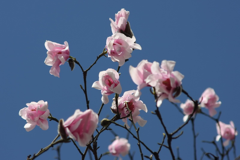 IMG_0608_调整大小.jpg