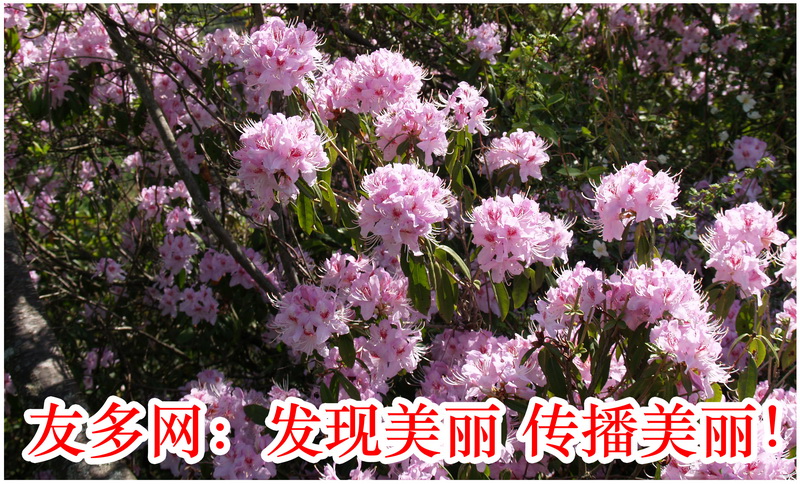 P4298339_调整大小.JPG