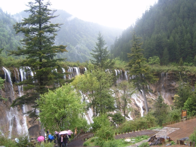 S4302273.JPG