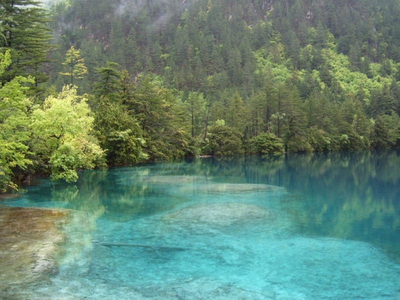 S4302376.JPG