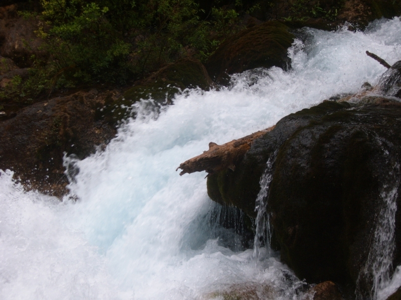 S4302310.JPG