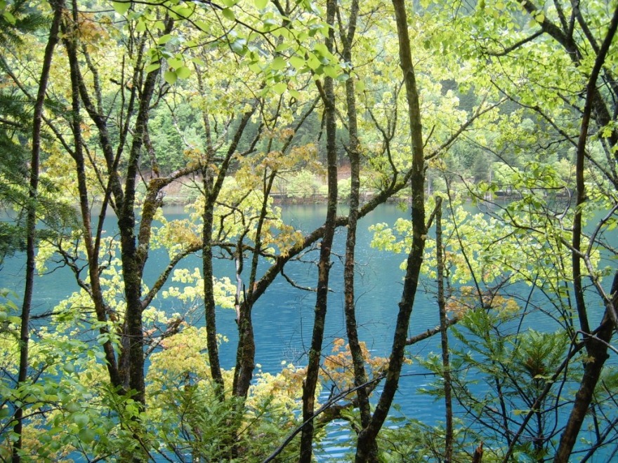 S4302215.JPG