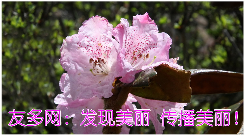2009年10月中旬封面_调整大小.jpg