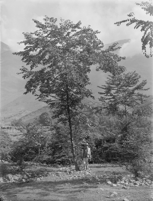 160 1910-06-28四川巫溪（大宁）_调整大小.jpg