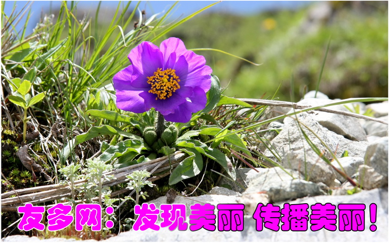 2010年8月上旬封面_调整大小.JPG