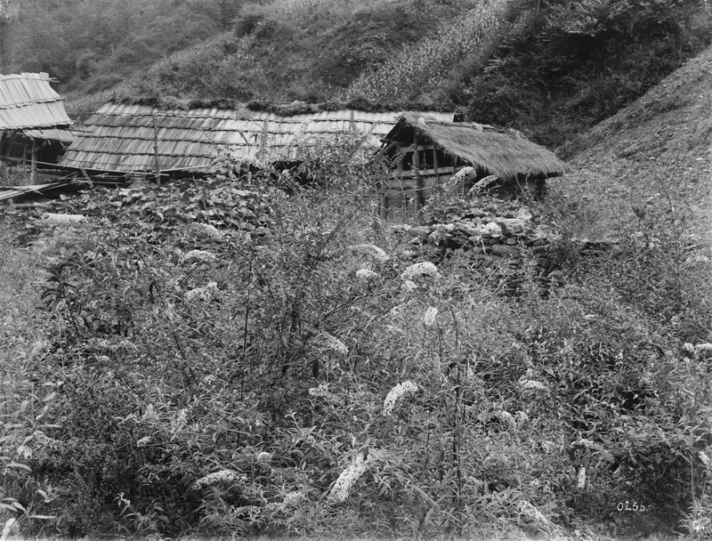 256 1910-08-16 平武Pingwu 龙安府Lungan Fu 1_调整大小.jpg