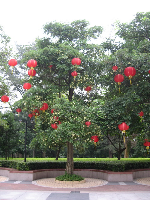 IMG_1219_调整大小.JPG