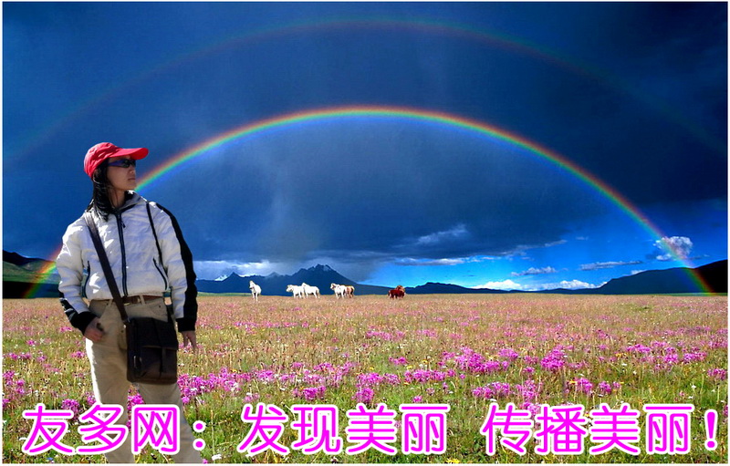 2011年5月上旬封面_调整大小.jpg