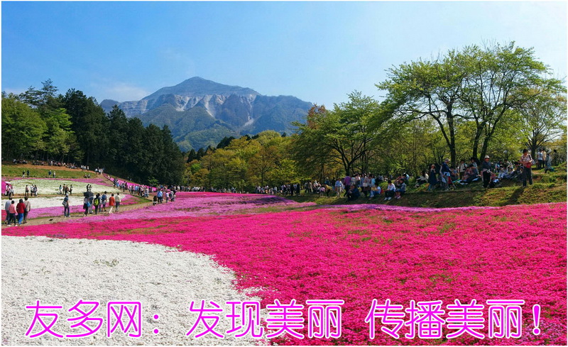 2011年7月上旬封面_调整大小.jpg