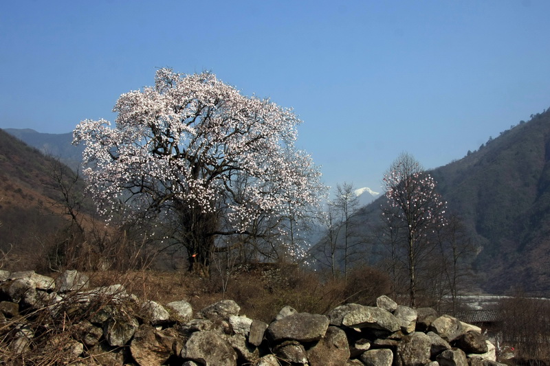 IMG_1095_调整大小.jpg