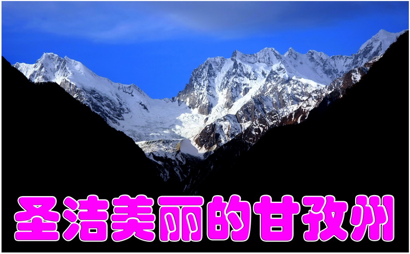 2011年12月上旬封面_调整大小.JPG