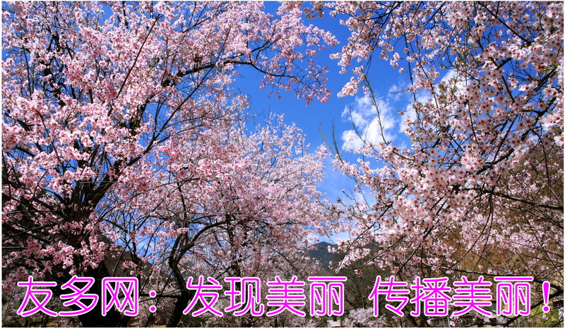 ZW7T0121_调整大小.jpg