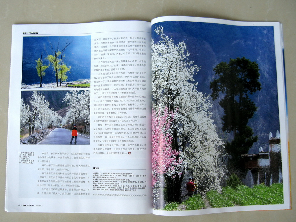 IMG_4871_调整大小.JPG