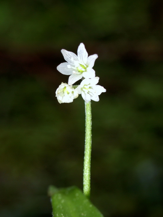P6081824_调整大小.JPG