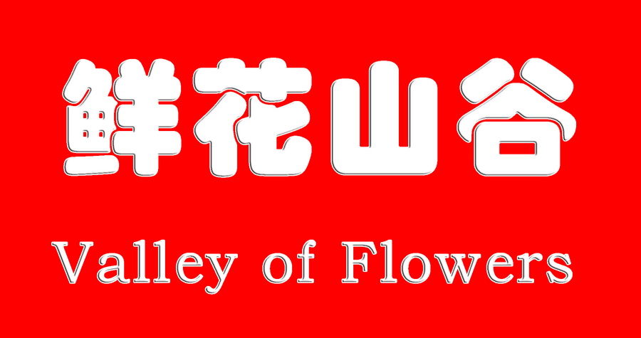 鲜花山谷 10_调整大小.jpg
