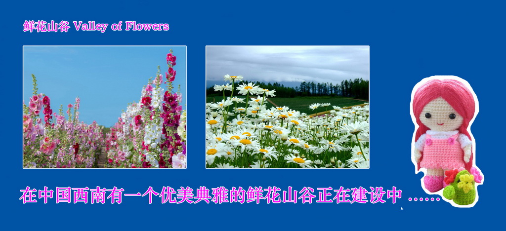 1_调整大小.jpg