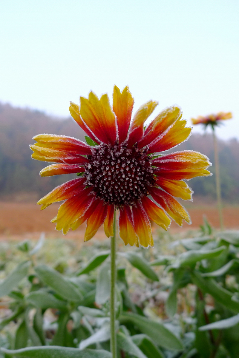 7.JPG