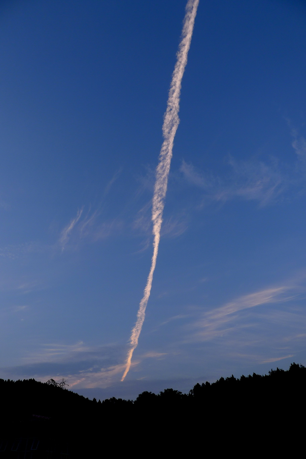 P1760374_调整大小.JPG