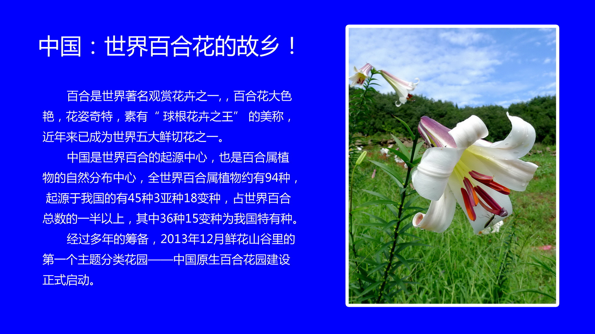 2_调整大小.jpg