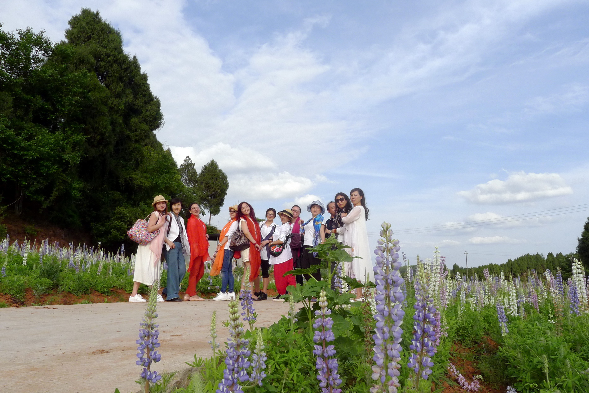 1 (2)_调整大小.JPG