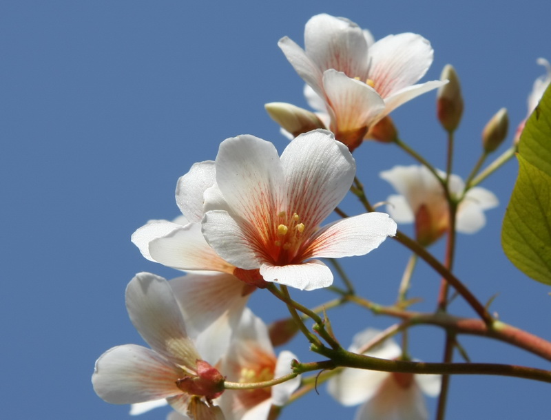 IMG_3051_调整大小.JPG