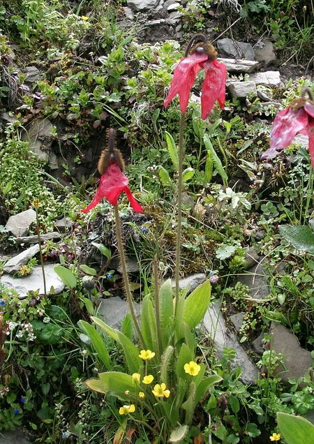 Rotation of 07190001_调整大小.jpg