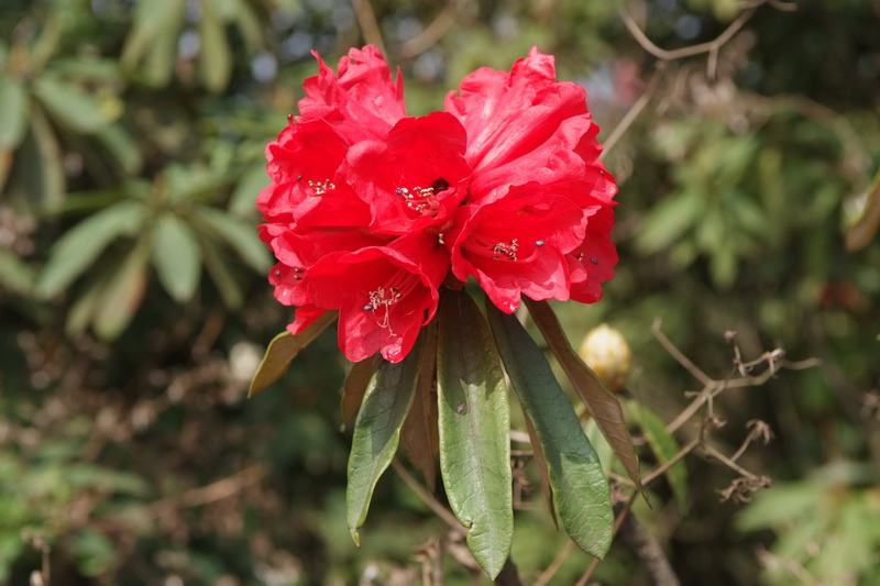 DSCF3158_调整大小.JPG