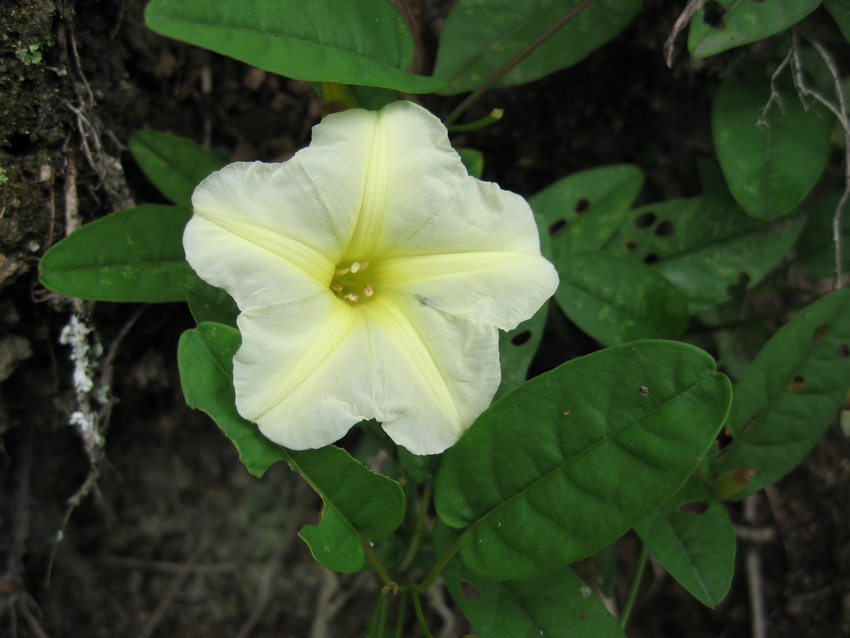IMG_1870_调整大小.JPG